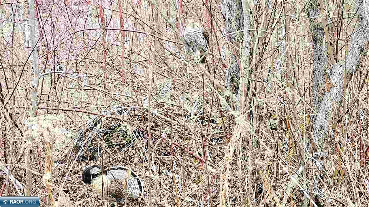 5209 Klinker Road Silver Bay, MN 55614 - Photo 24 of 30