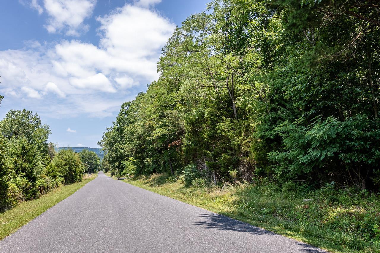 Tbd Runkles Gap Road Elkton, VA 22827 - Photo 14 of 16 Gallery Image 14