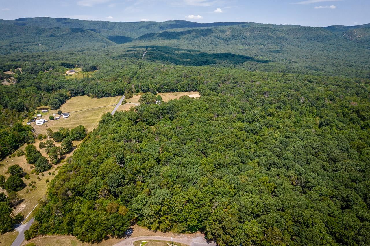 Tbd Runkles Gap Road Elkton, VA 22827 - Photo 8 of 16 Gallery Image 8