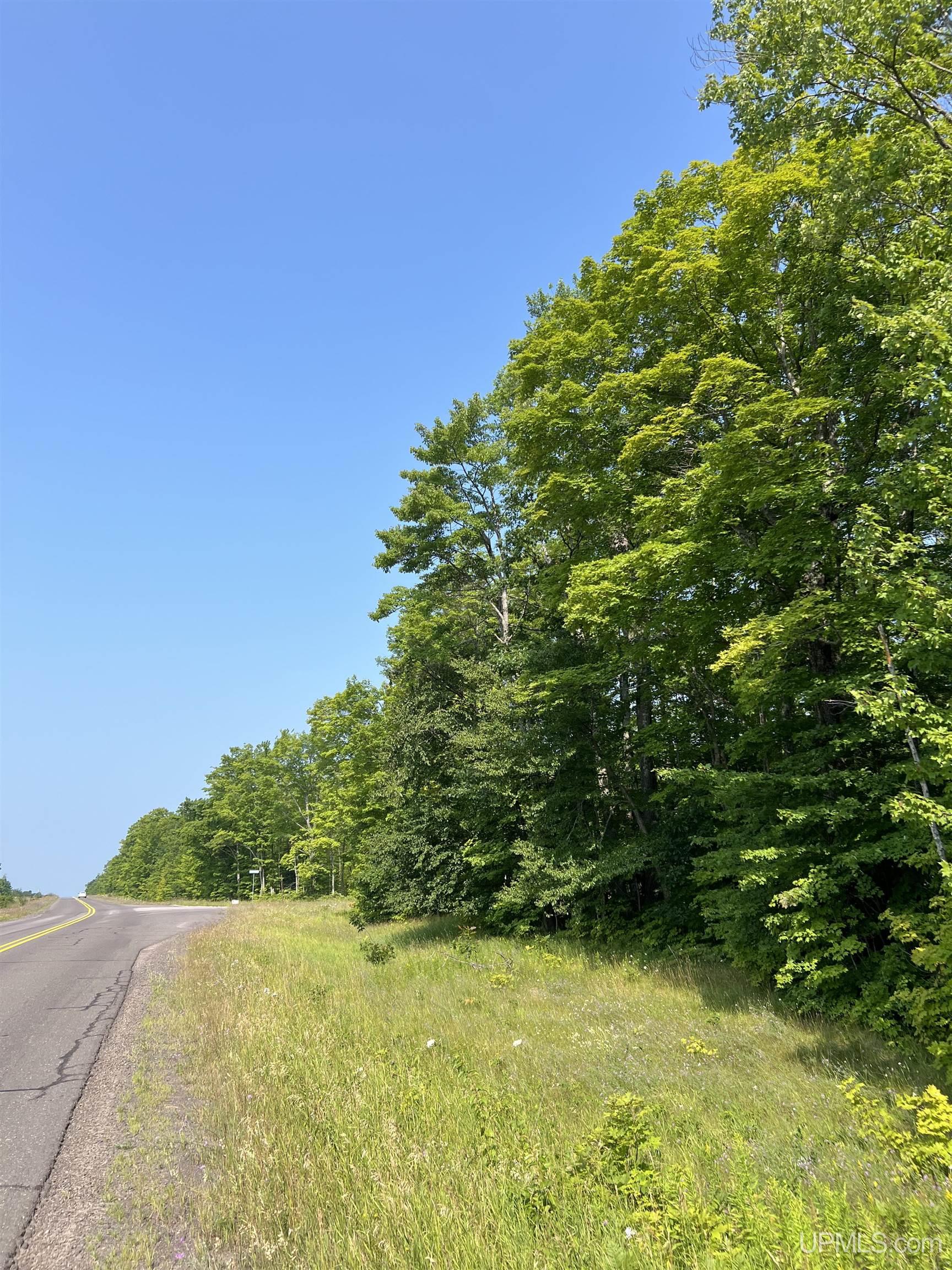 Tbd Misery Bay Road Toivola, MI 49965 - Photo 16 of 16 Gallery Image 16
