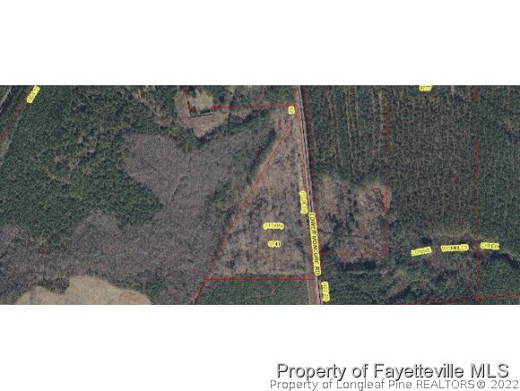 Tbd Lower Moncure Road Sanford, NC 27330 - Photo 1 of 4 Gallery Image 1