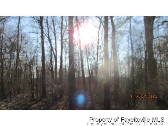 Tbd Lower Moncure Road Sanford, NC 27330 - Photo 2 of 4 Gallery Image 2