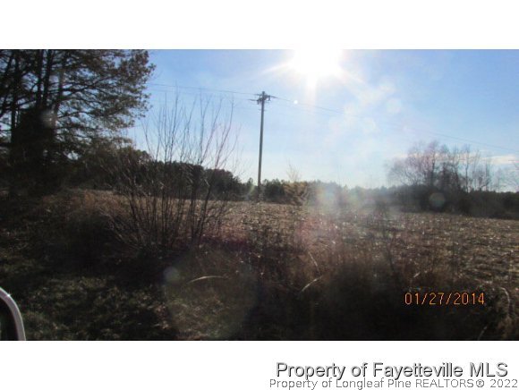 Tbd Lower Moncure Road Sanford, NC 27330 - Photo 3 of 4 Gallery Image 3