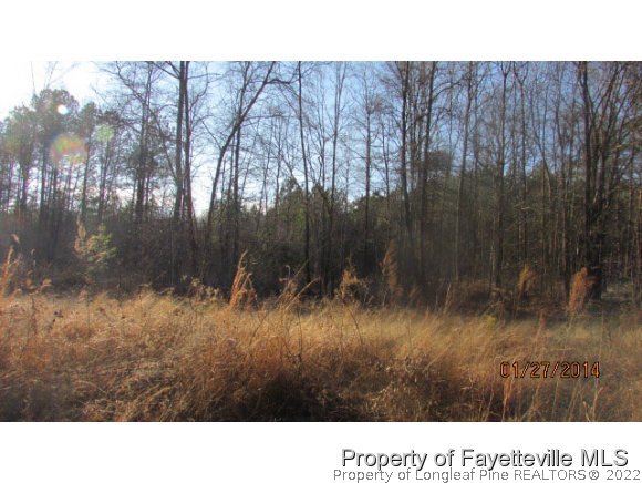 Tbd Lower Moncure Road Sanford, NC 27330 - Photo 4 of 4 Gallery Image 4