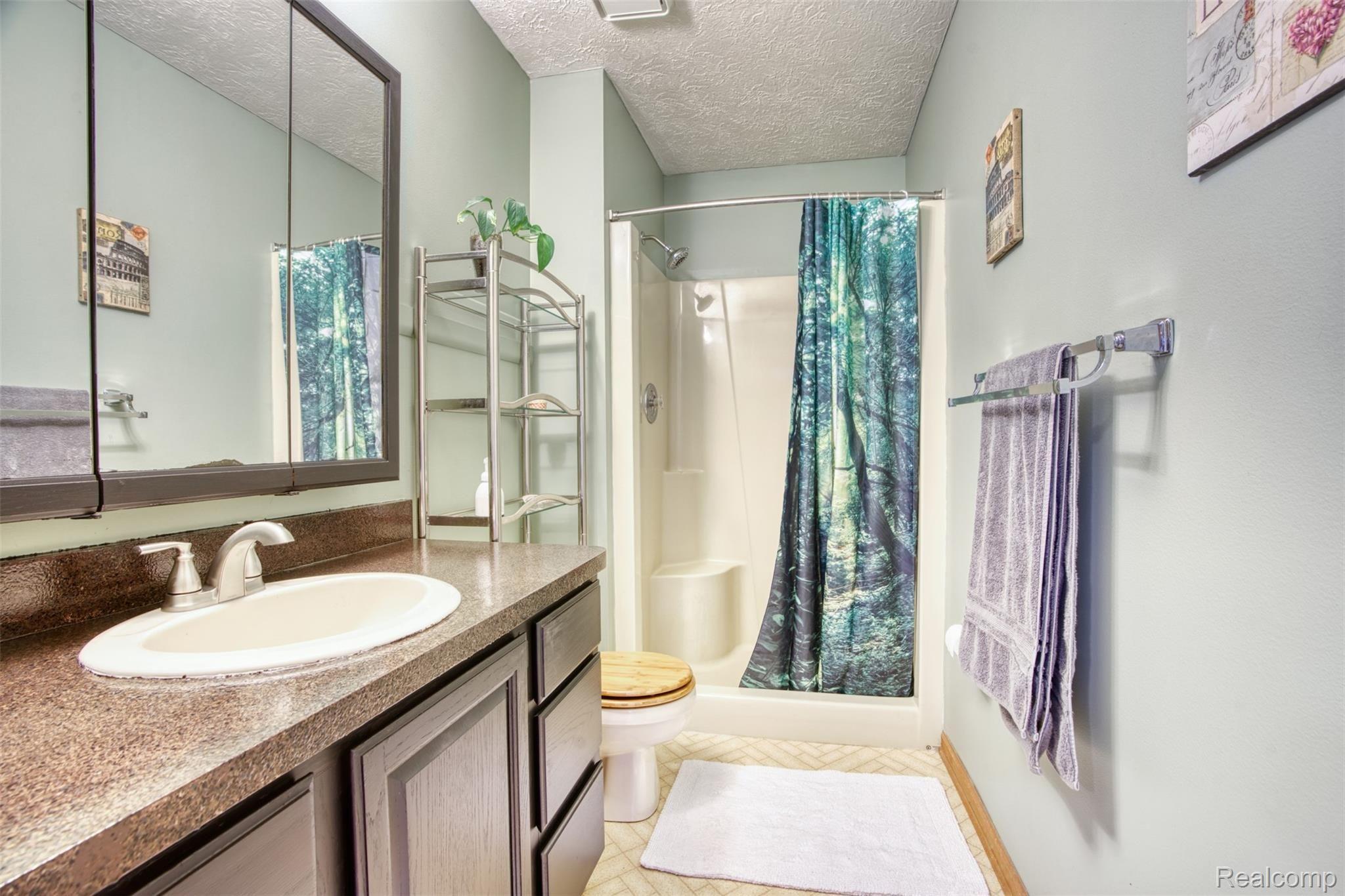 11813 Newman Road Brighton, MI 48114 - Photo 16 of 33 Master bath