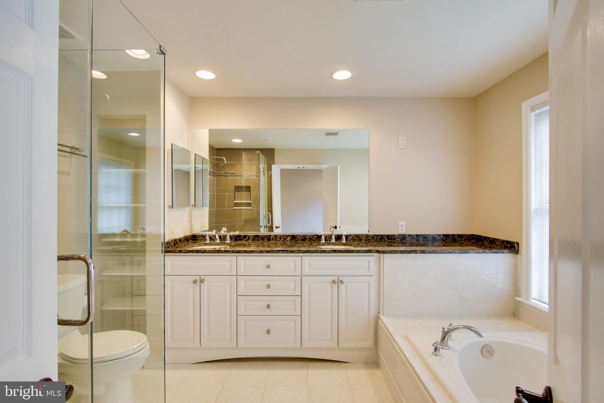 8818 Howard Forest Lane Baltimore, MD 21208 - Photo 20 of 31 a bathroom with a granite countertop sink a toilet and a bathtub