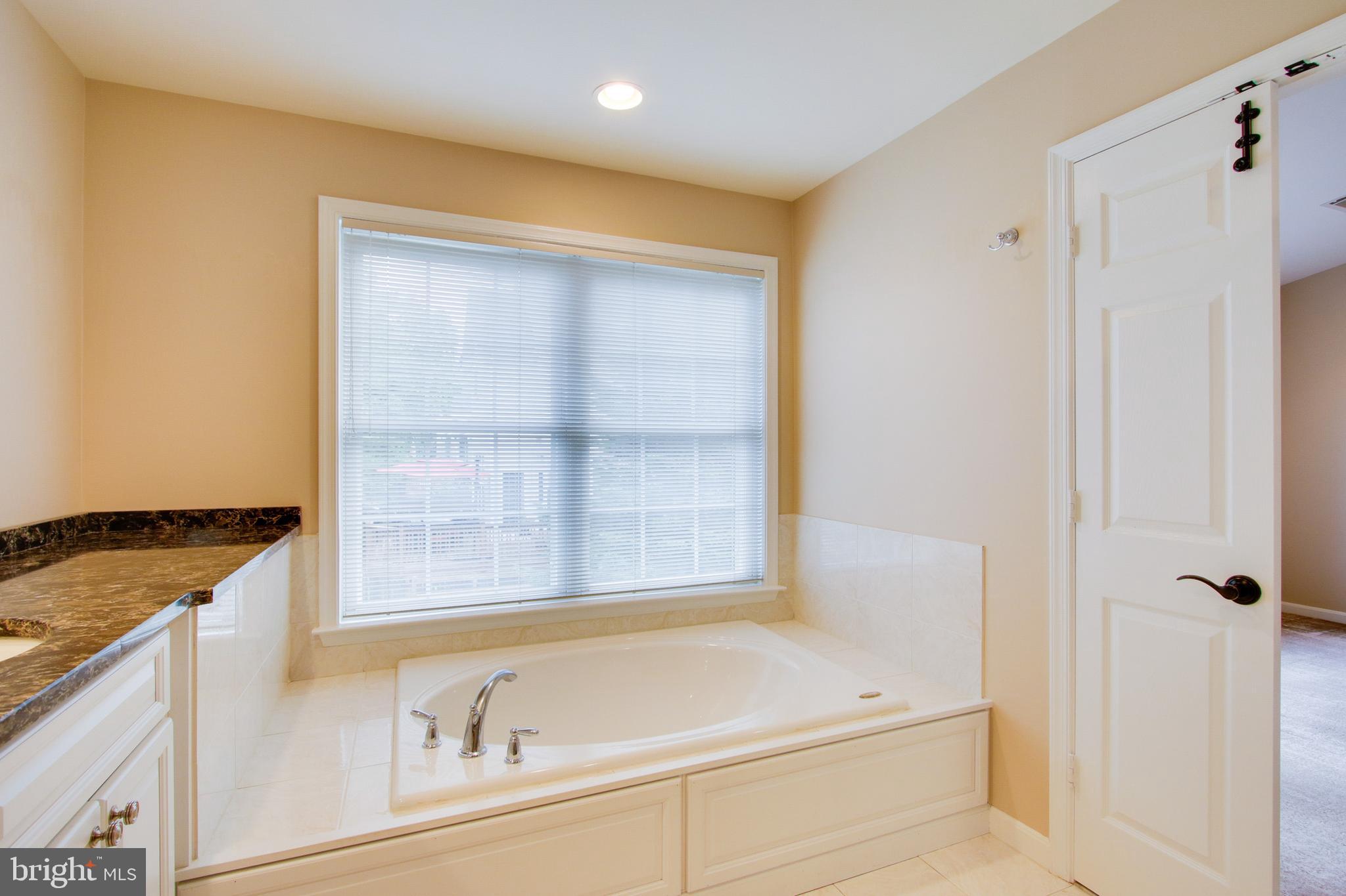 8818 Howard Forest Lane Baltimore, MD 21208 - Photo 21 of 31 a bathroom with a granite countertop sink and a bathtub