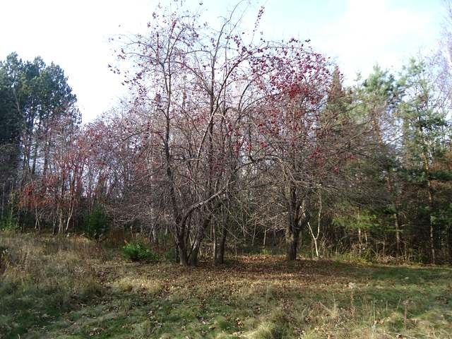 N10689 Tomptabo Road Gleason, WI 54435 - Photo 10 of 20 Gallery Image 10