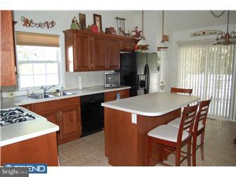 64 Michigan Drive Sinking Spring, PA 19608 - Photo 4 of 12 Kitchen