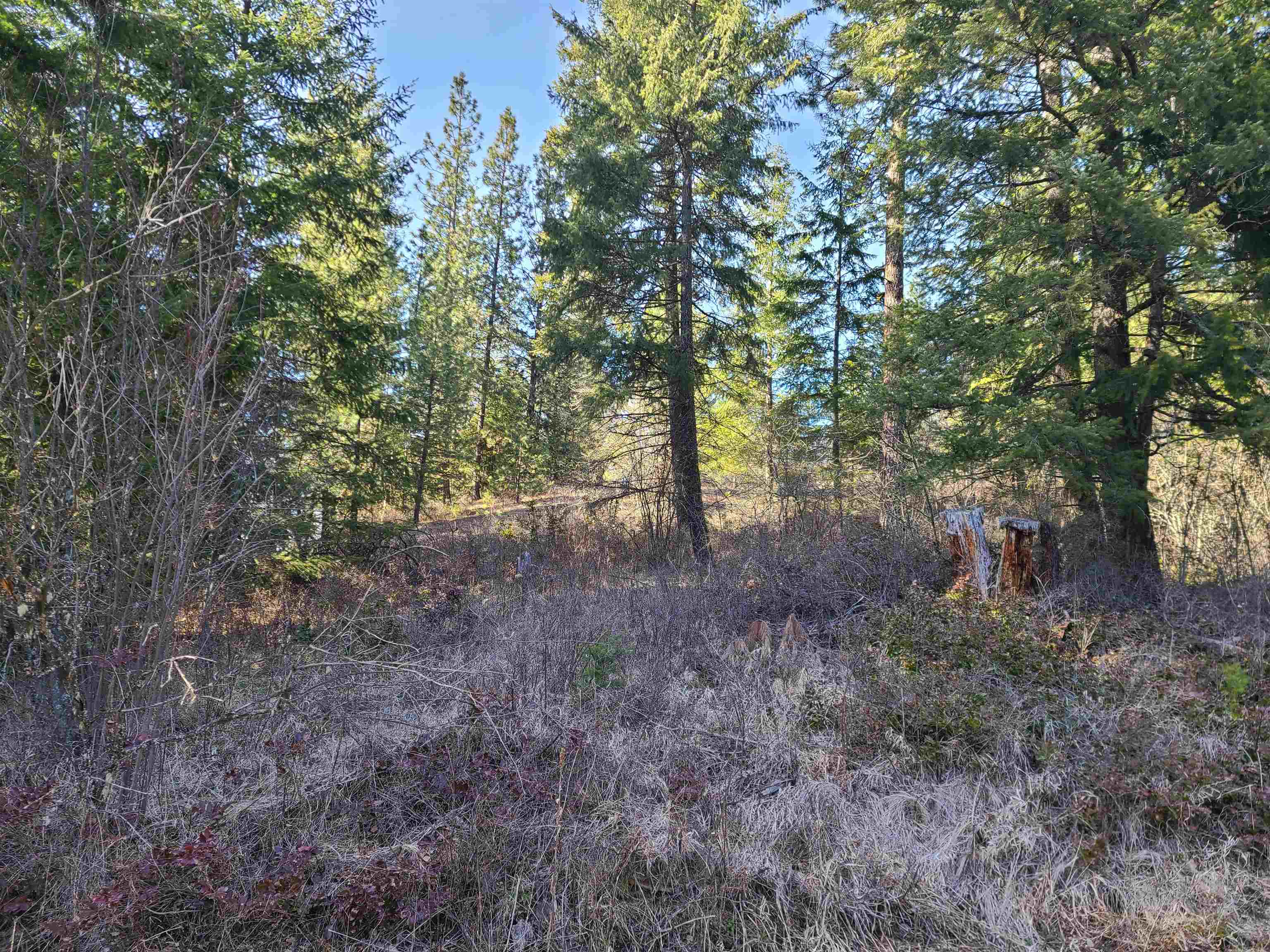 2584 F Bridgeman-Rettinger Road Kettle Falls, WA 99141 - Photo 9 of 21