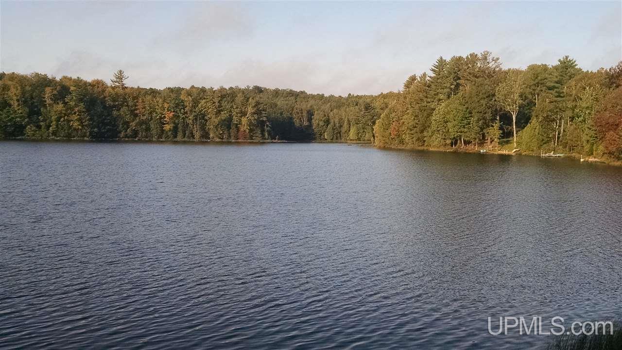 145 North Engman Lake Road Skandia, MI 49885 - Photo 2 of 6