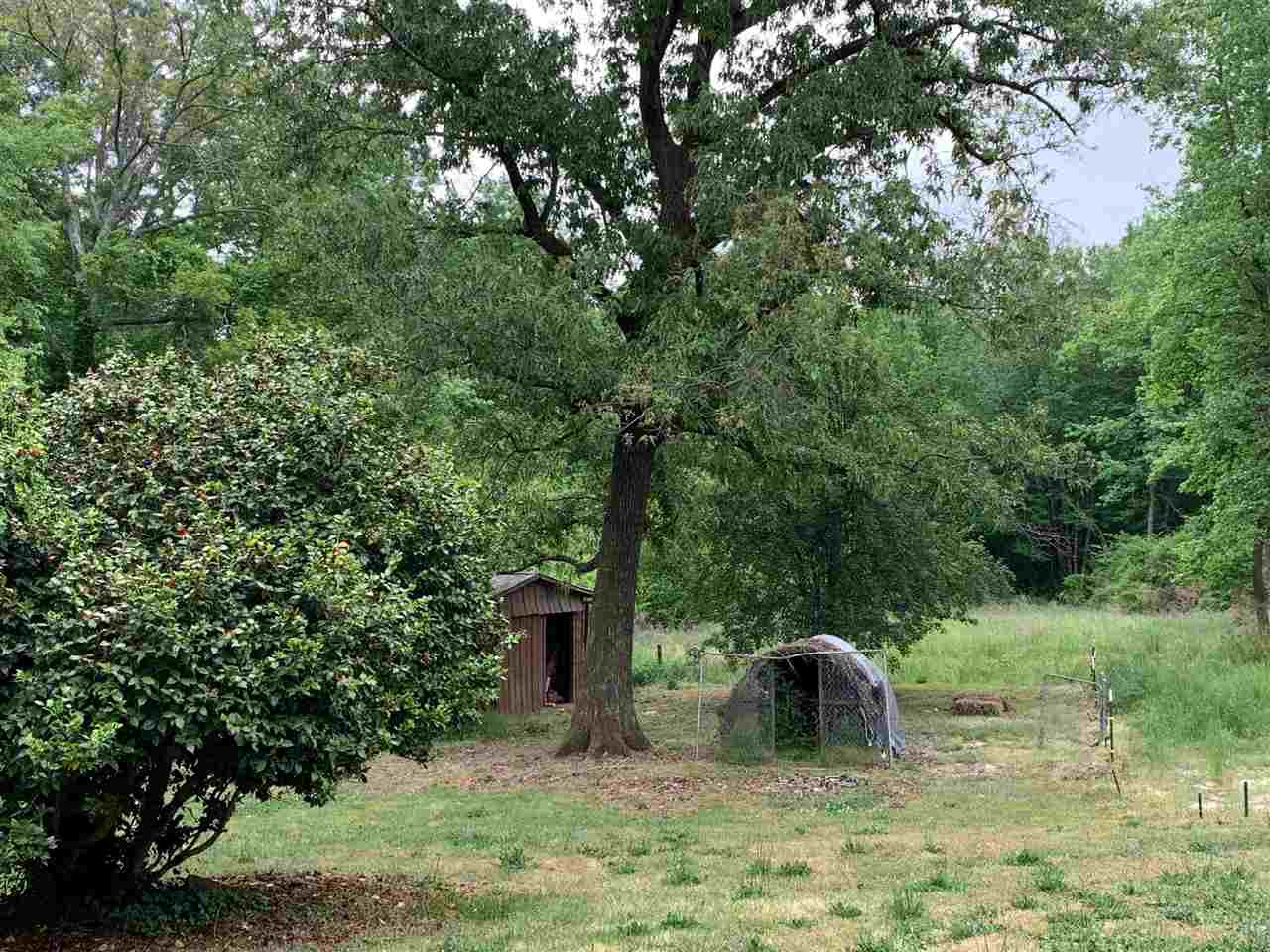 7931 Elevation Road Benson, NC 27504 - Photo 5 of 15 View of some of the backyard