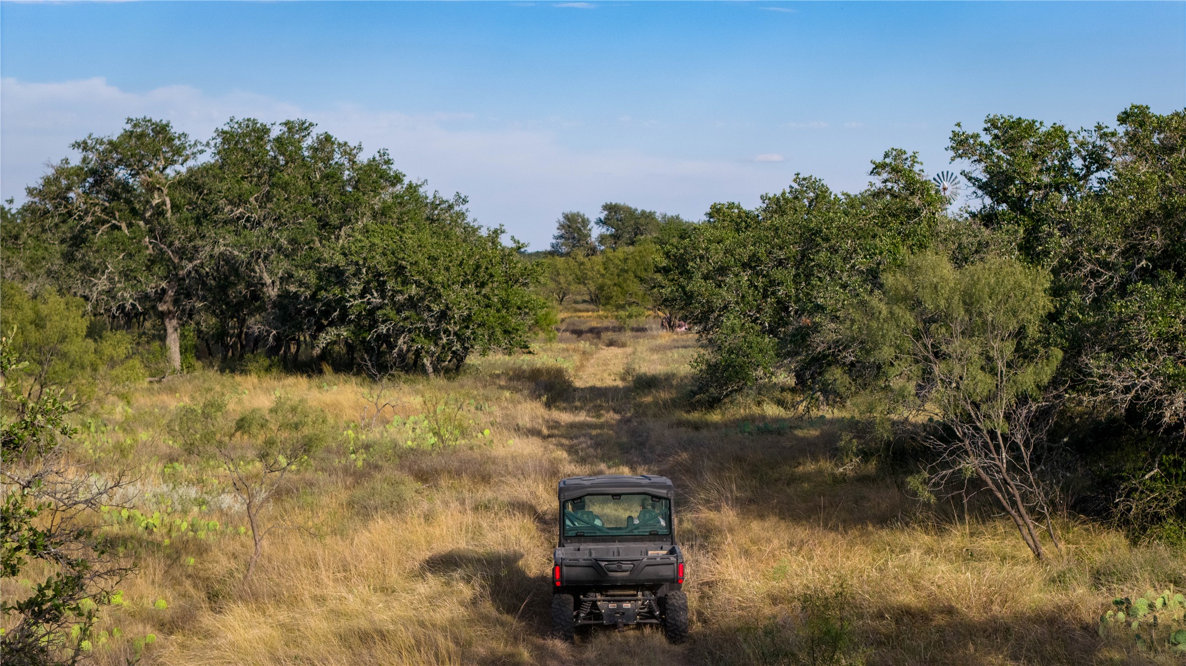 8500 Buck Ridge Drive Brady, TX 76825 - Photo 19 of 32 View of nature