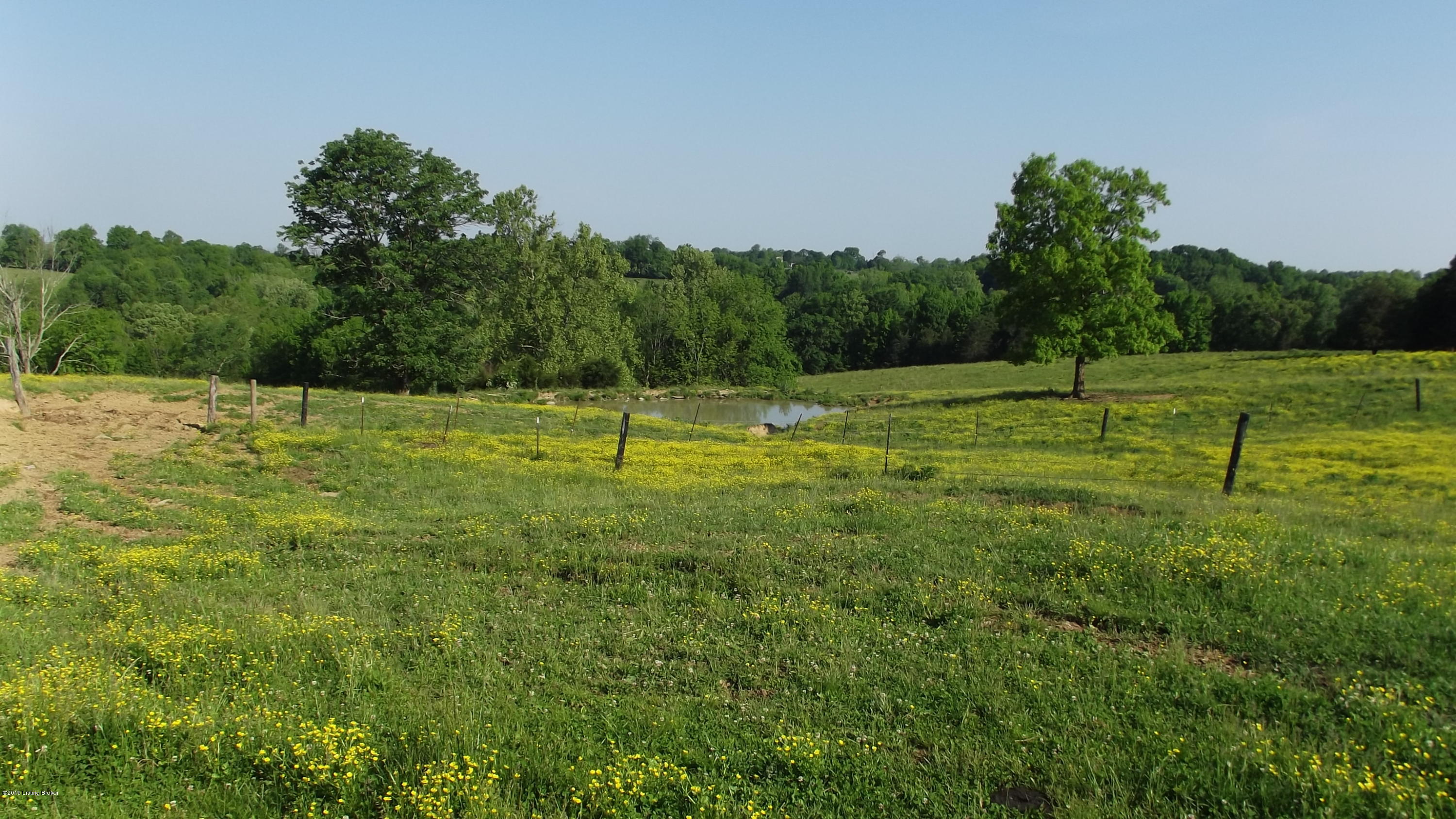 0 Rockbridge Road Shelbyville, KY 40065 - Photo 2 of 21 DSCF6424
