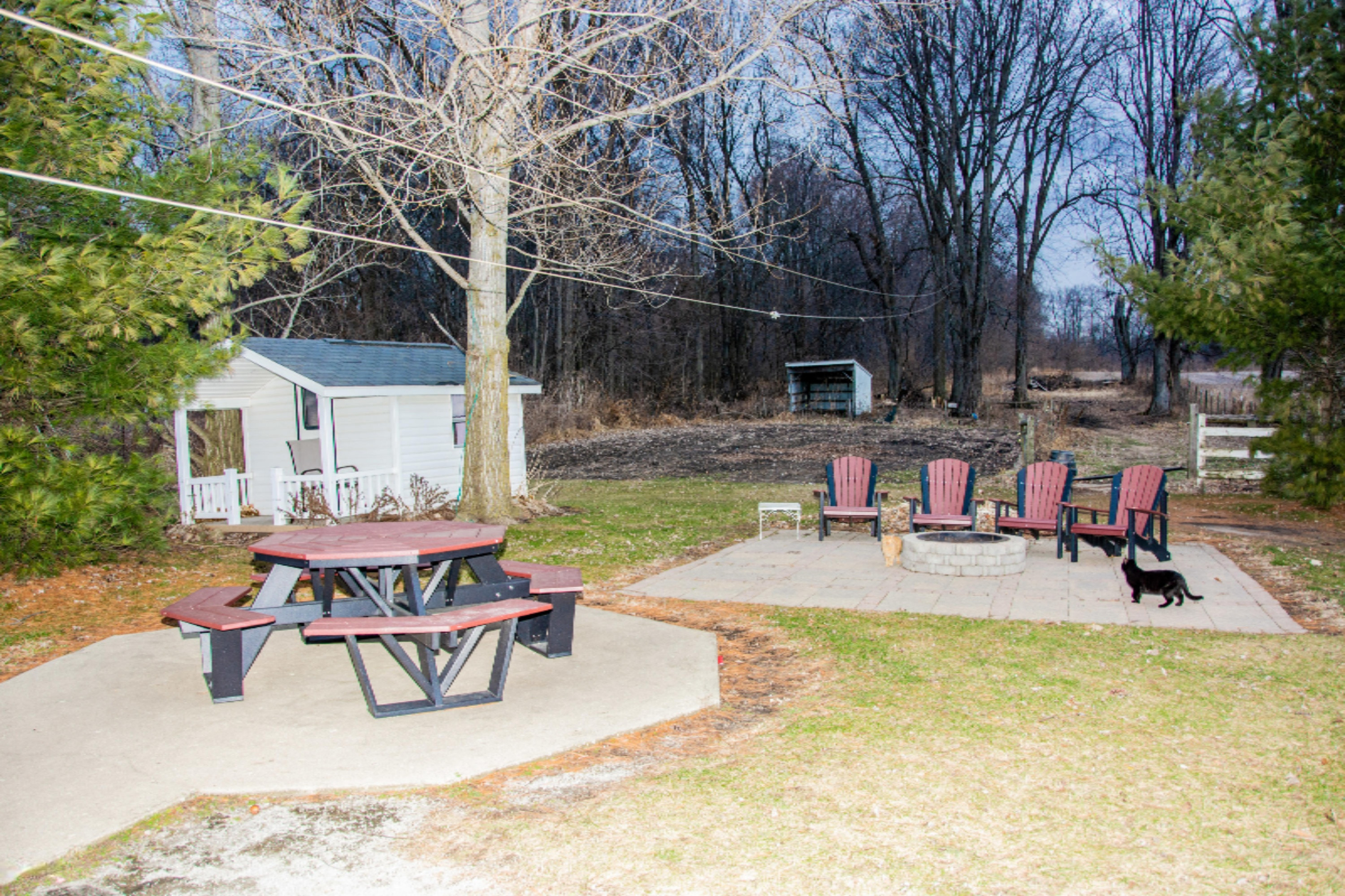 824 Slisher Road Bronson, MI 49028 - Photo 63 of 66 DSC_0499