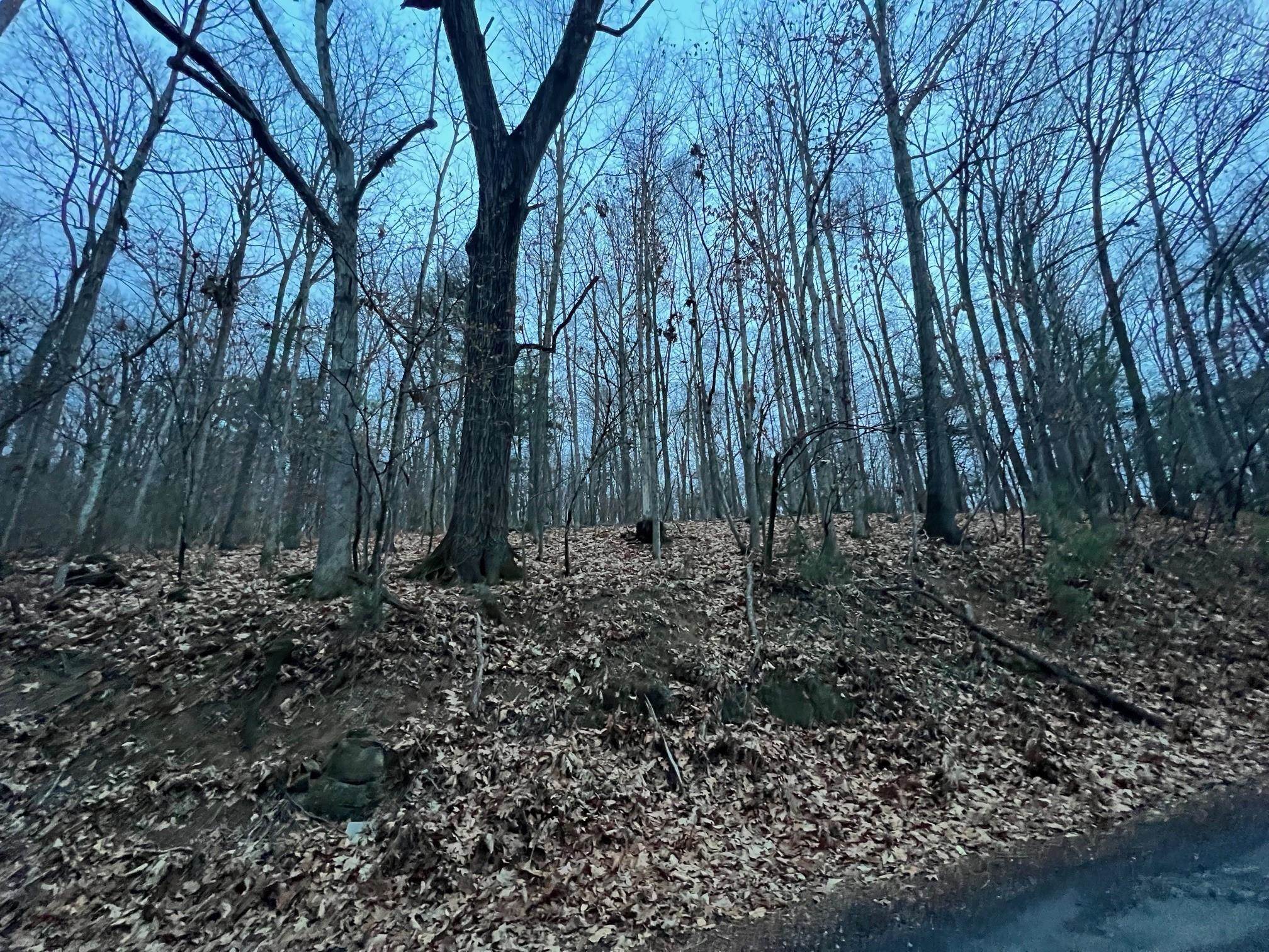 0 Moffett Branch Road Churchville, VA 24421 - Photo 8 of 8 a view of outdoor space with lots of trees