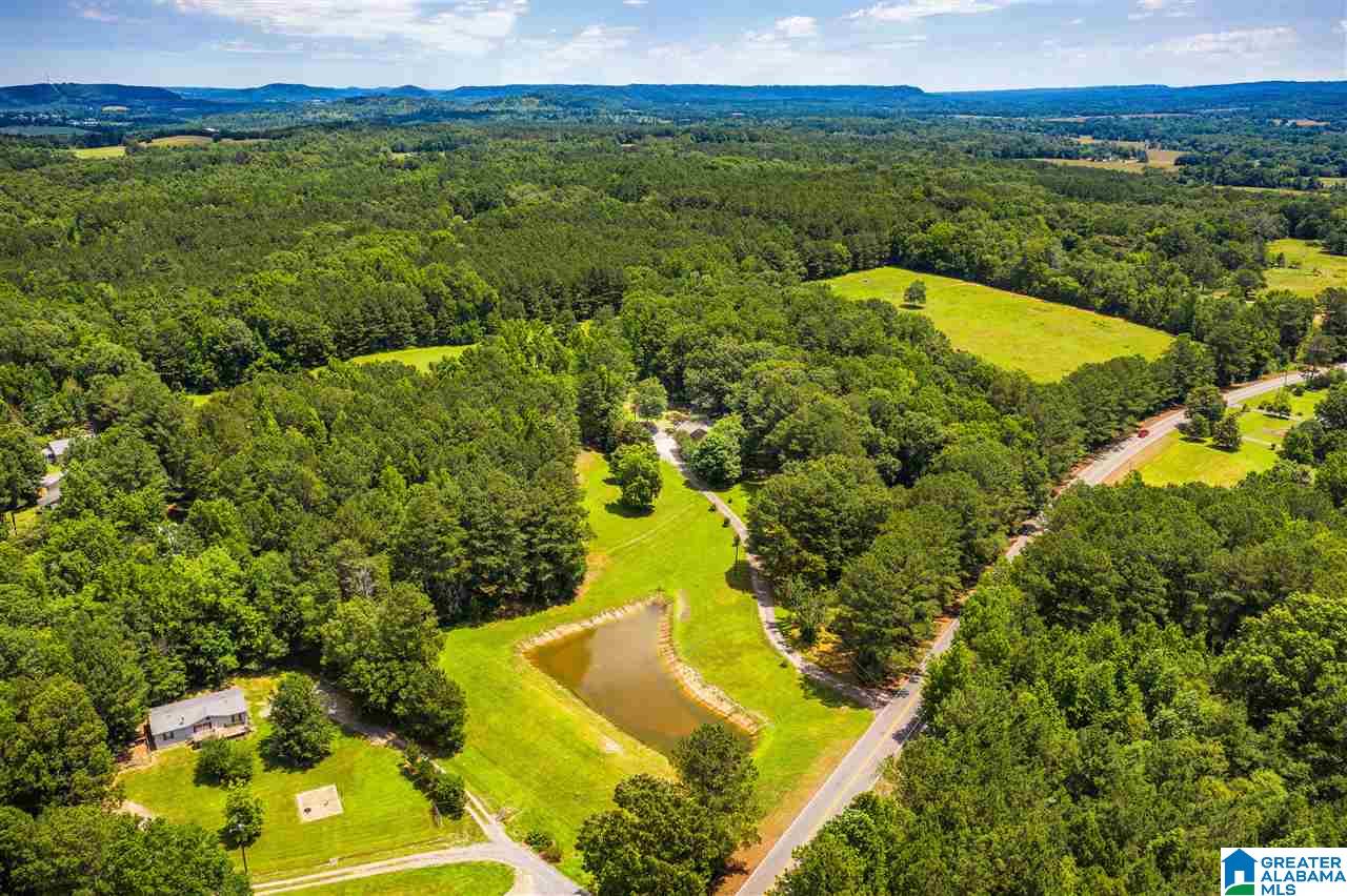 225 County Road 33 Oneonta, AL 35121 - Photo 32 of 41