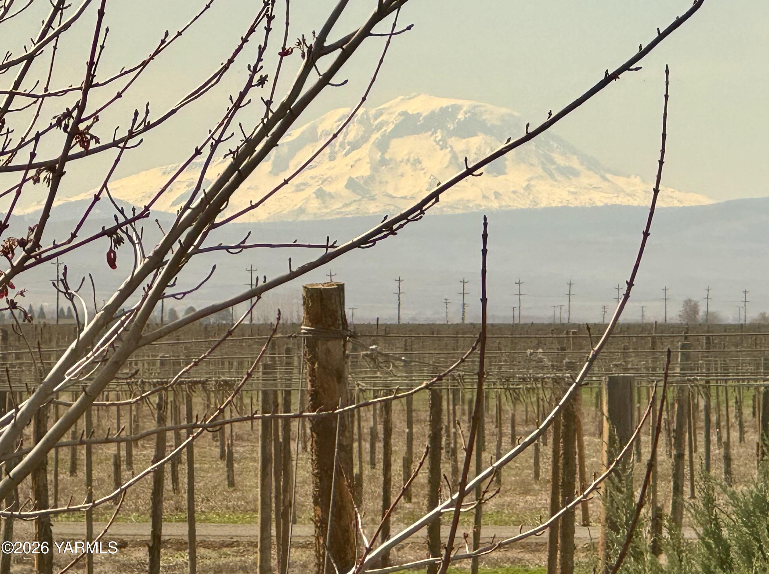 7801 Campbell Road, Unit 1 Toppenish, WA 98948 - Photo 37 of 44 Bedroom View