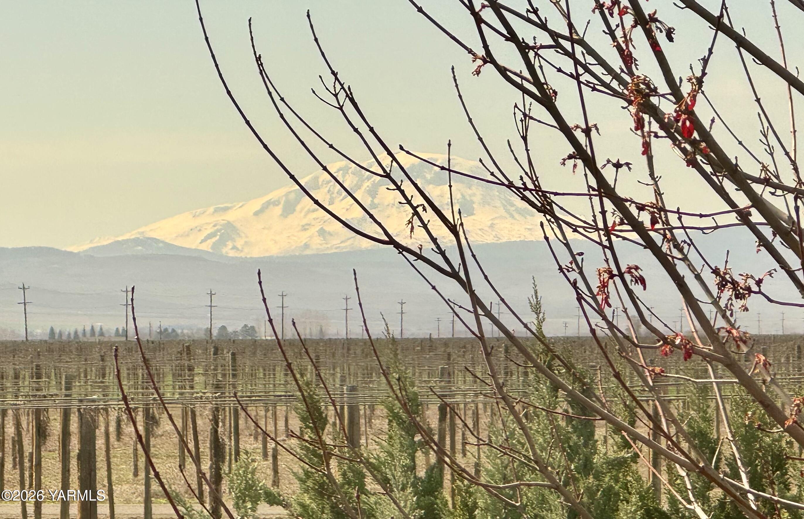 7801 Campbell Road, Unit 1 Toppenish, WA 98948 - Photo 38 of 44 Bedroom View