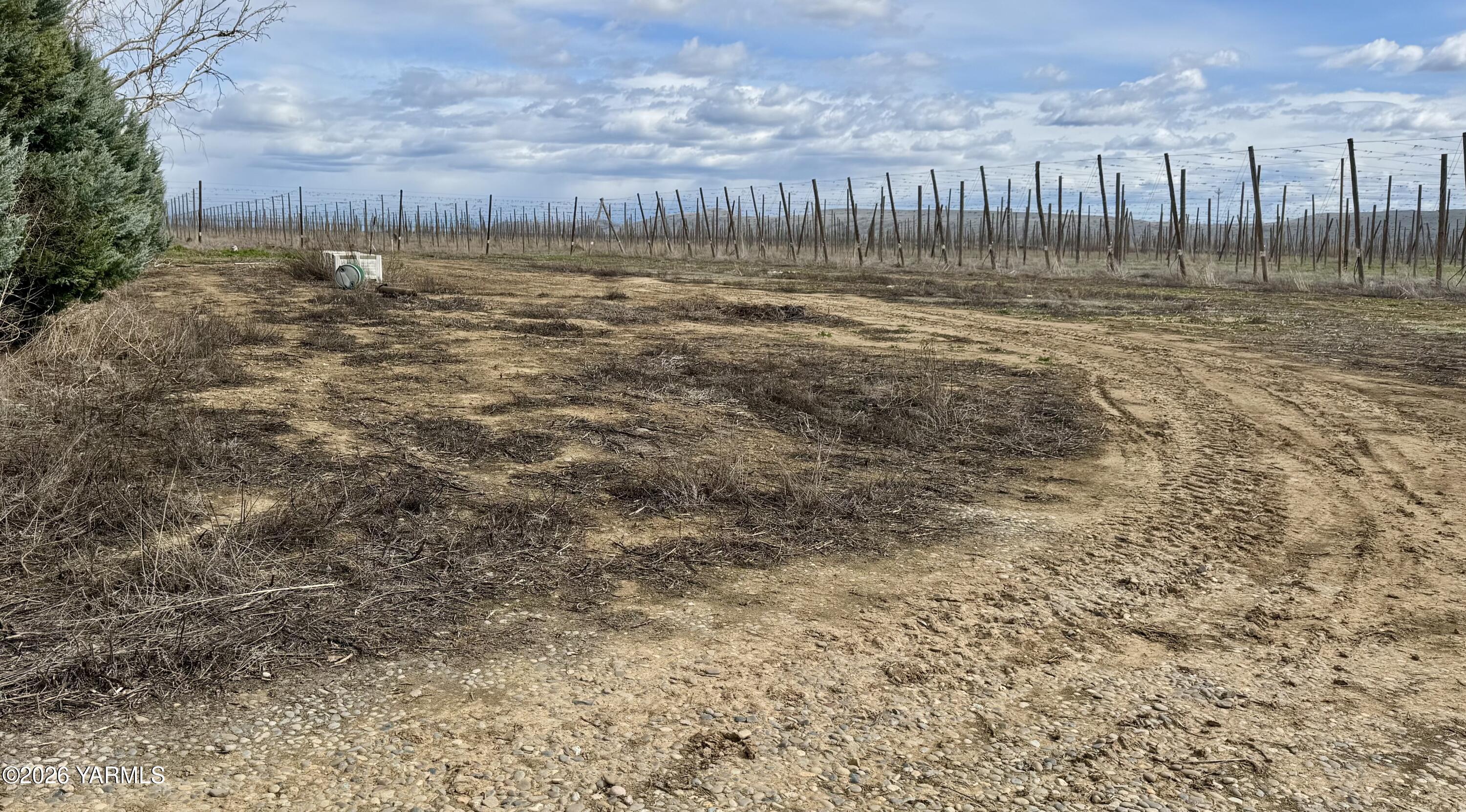 7801 Campbell Road, Unit 1 Toppenish, WA 98948 - Photo 43 of 44 Open Field