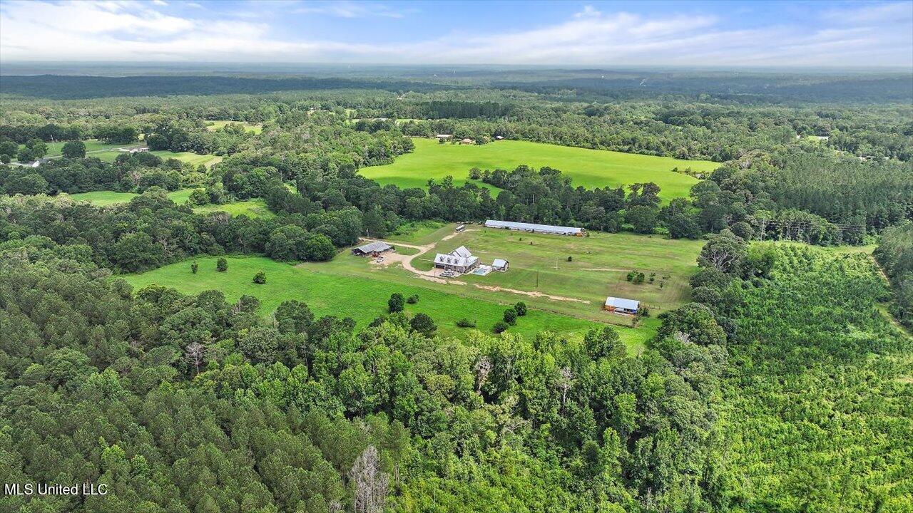 849 Athens Road Mendenhall, MS 39114 - Photo 117 of 141 117-849 Athens Rd