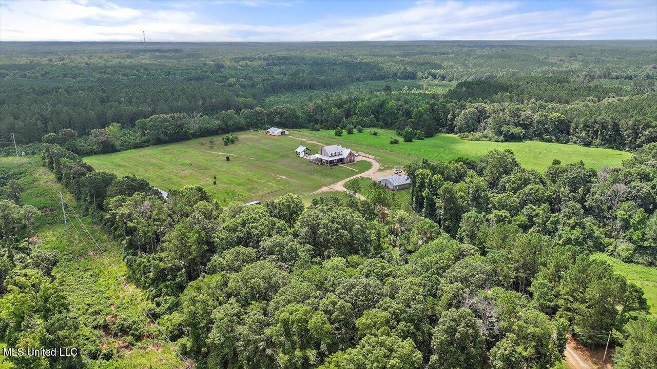 849 Athens Road Mendenhall, MS 39114 - Photo 123 of 141 123-849 Athens Rd