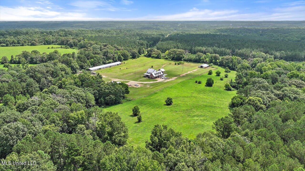 849 Athens Road Mendenhall, MS 39114 - Photo 126 of 141 126-849 Athens Rd
