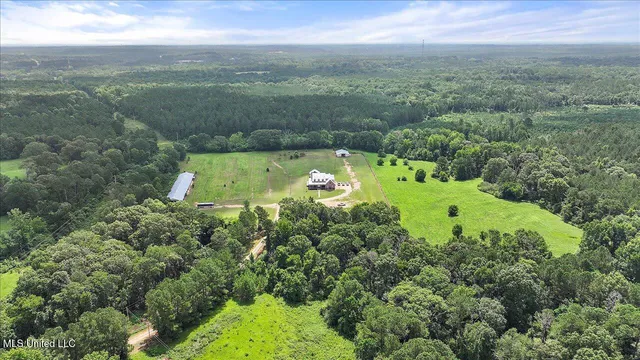 $875,000 | 849 Athens Road, Mendenhall, MS 39114