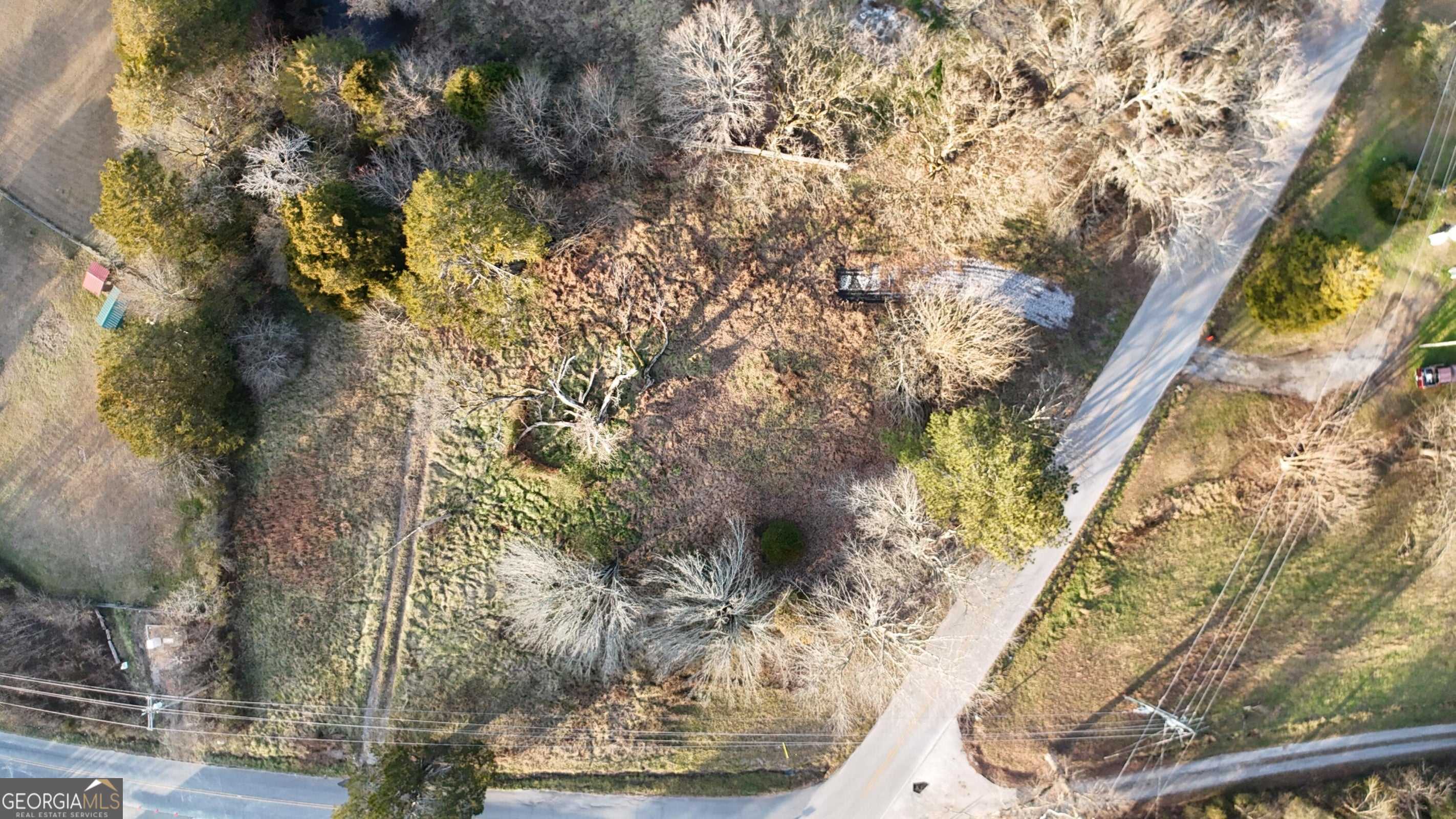 1585 East Reed Road LaFayette, GA 30728 - Photo 7 of 8 a backyard of a house with large trees and plants