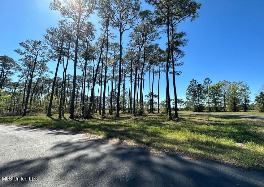 Hummingbird Lane Biloxi, MS 39532 - Photo 4 of 9 20230315234410820056000000-o