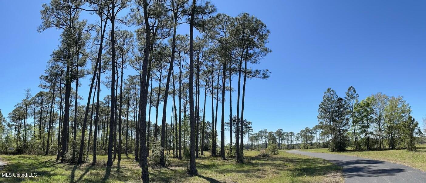 Hummingbird Lane Biloxi, MS 39532 - Photo 5 of 9 20230315234422485627000000-o