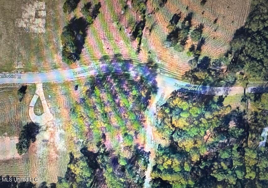 Hummingbird Lane Biloxi, MS 39532 - Photo 6 of 9 20230315234431596127000000-o