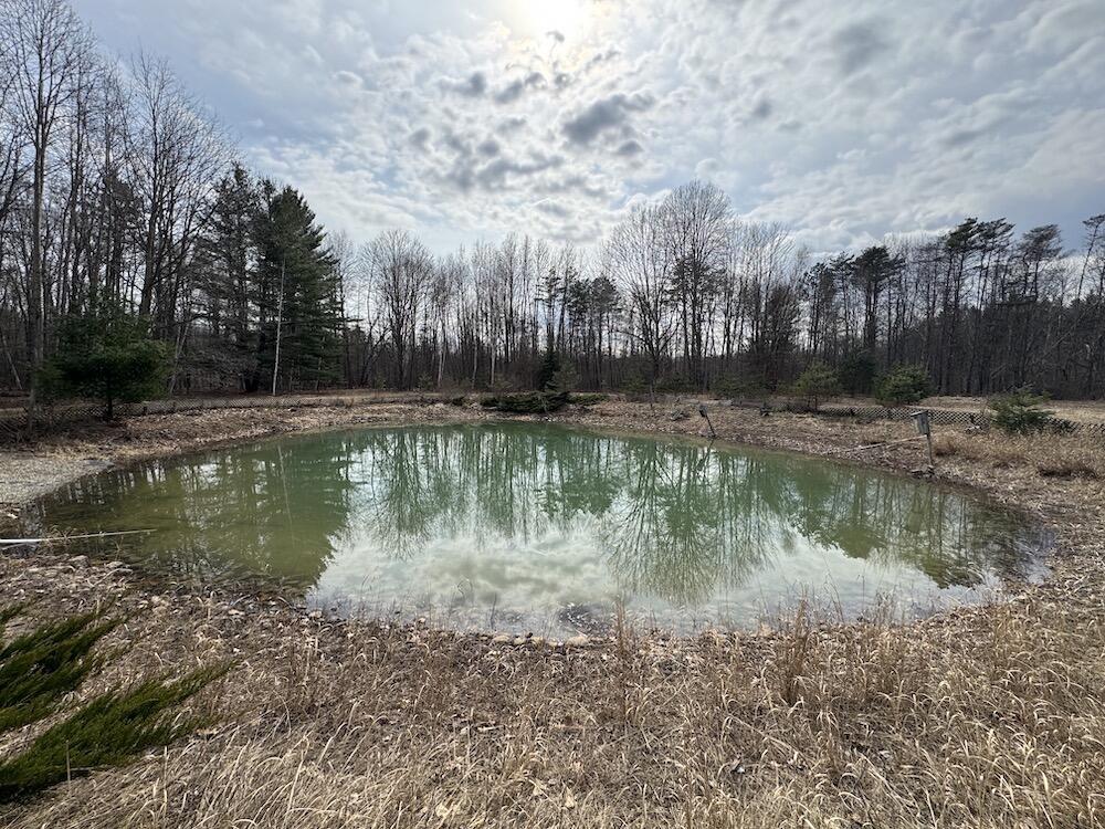2610 River Road Beaverton, MI 48612 - Photo 73 of 133 IMG_0031