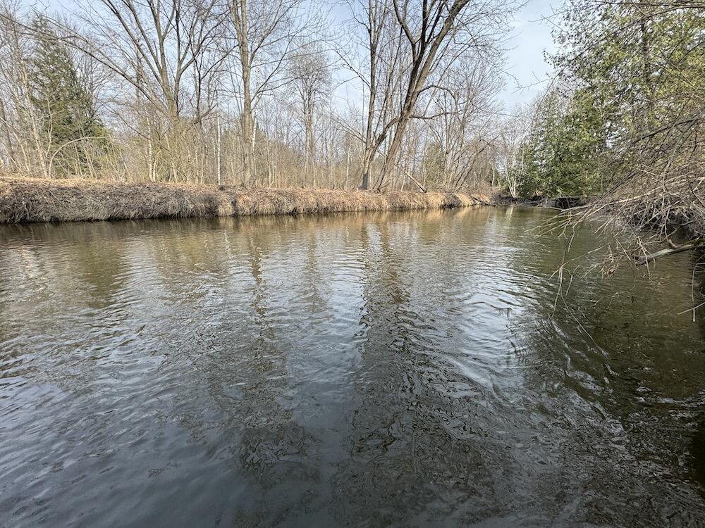 2610 River Road Beaverton, MI 48612 - Photo 88 of 133 IMG_0048