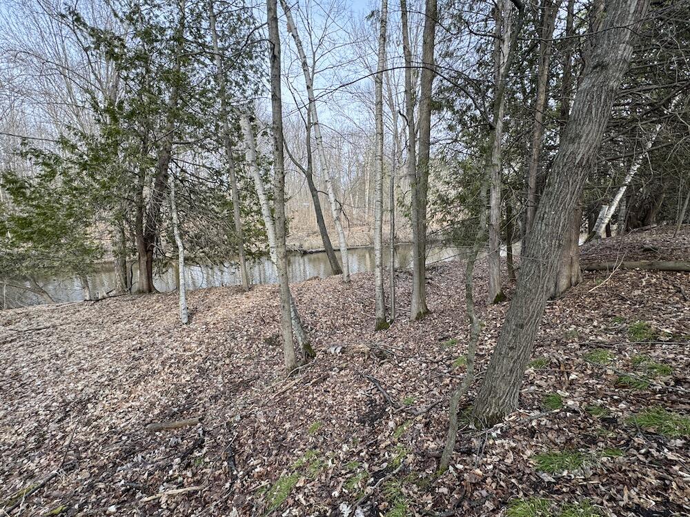 2610 River Road Beaverton, MI 48612 - Photo 92 of 133 IMG_0052