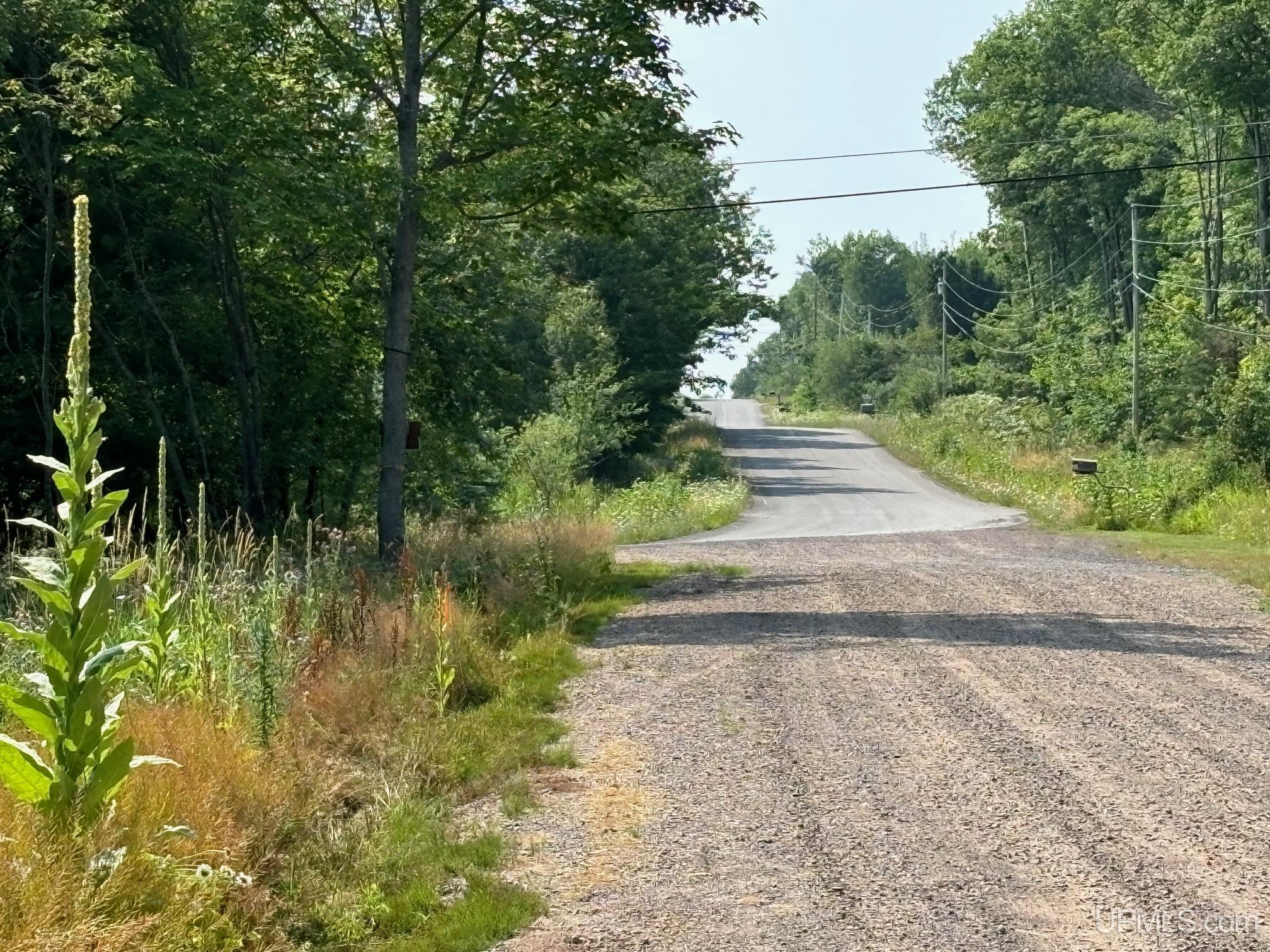 21505 River Trails Road Houghton, MI 49931 - Photo 10 of 11