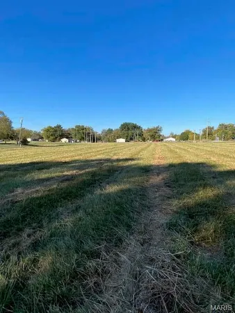 $60,000 | 0 South East Border Street, Monroe City, MO 63456