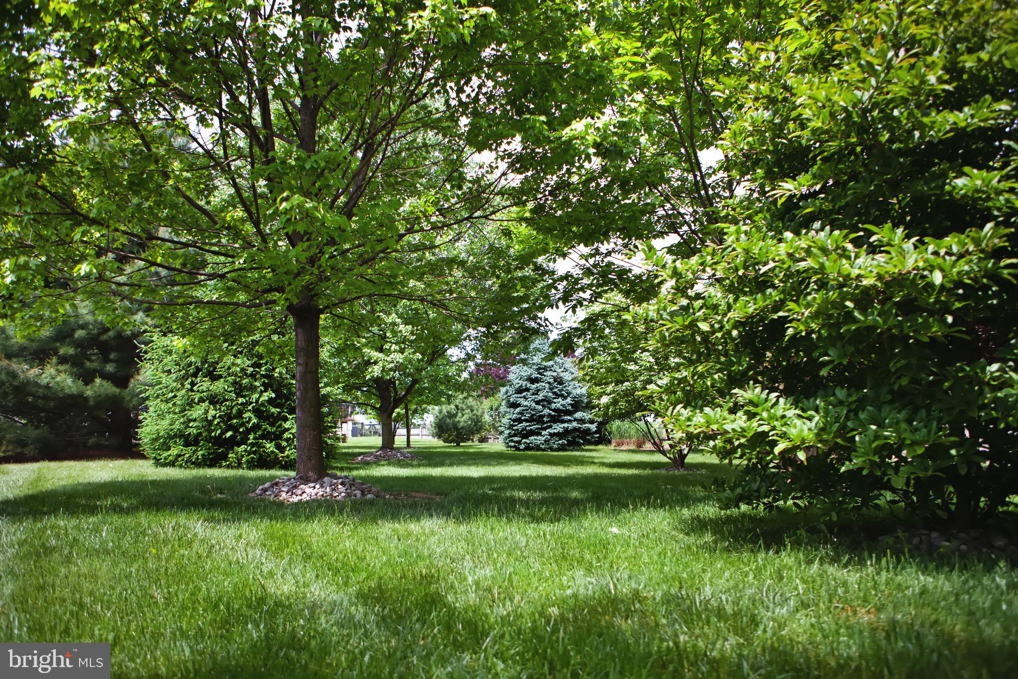 15 Emerald Ridge Drive Bear, DE 19701 - Photo 40 of 41