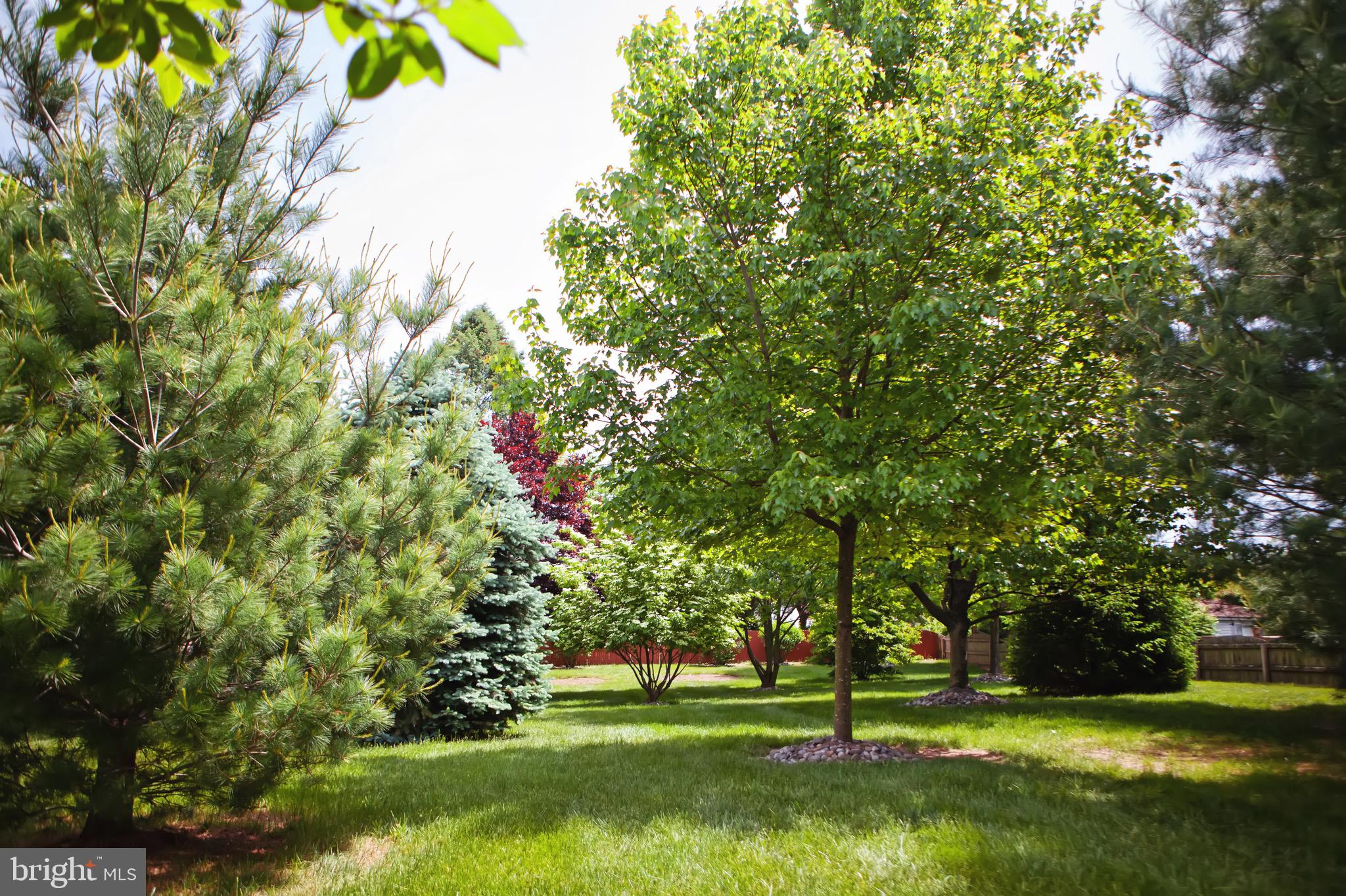 15 Emerald Ridge Drive Bear, DE 19701 - Photo 41 of 41