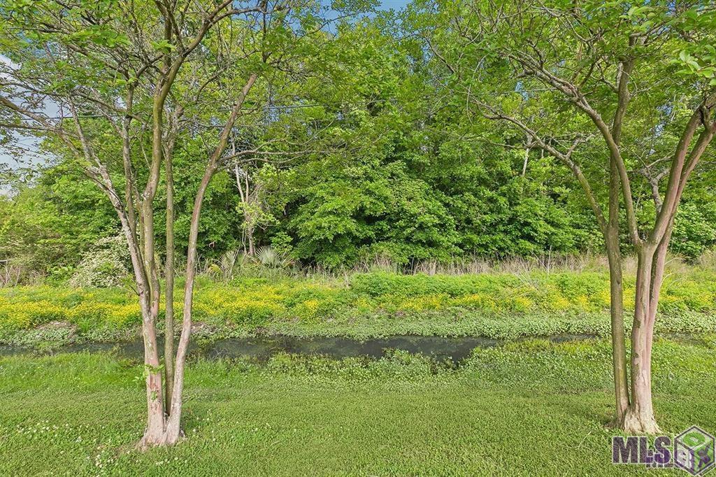 Tbd Walker South Road Walker, LA 70785 - Photo 2 of 6