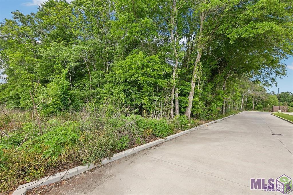 Tbd Walker South Road Walker, LA 70785 - Photo 4 of 6