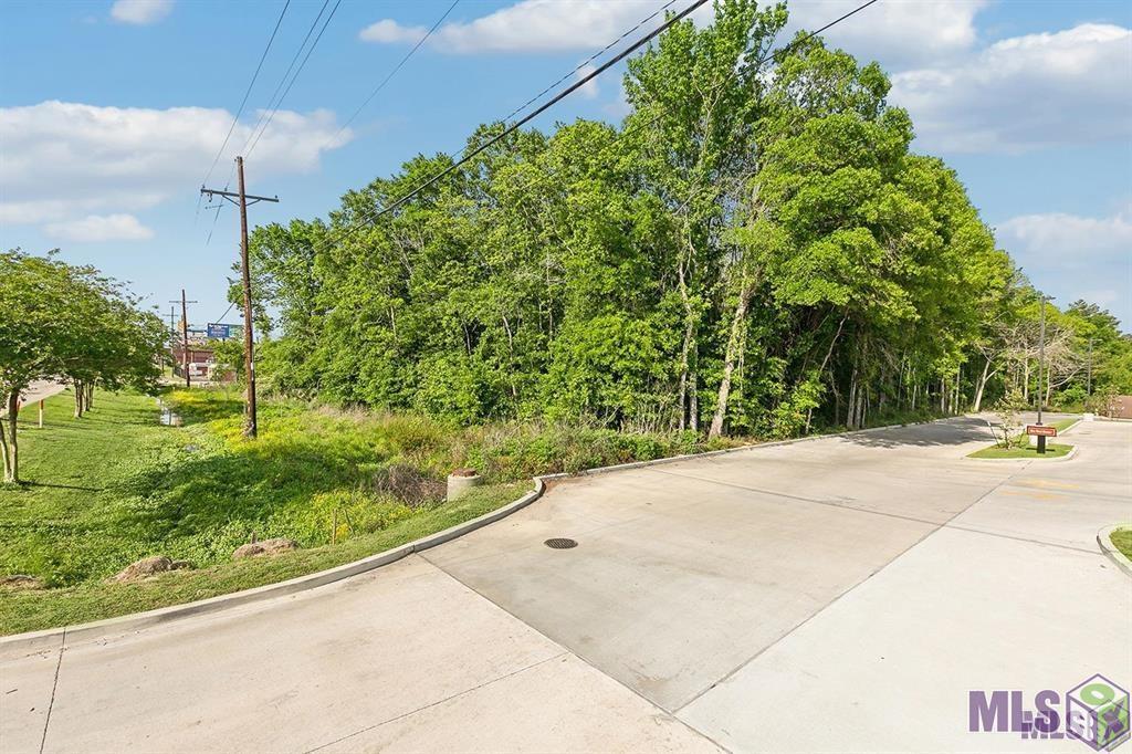 Tbd Walker South Road Walker, LA 70785 - Photo 5 of 6