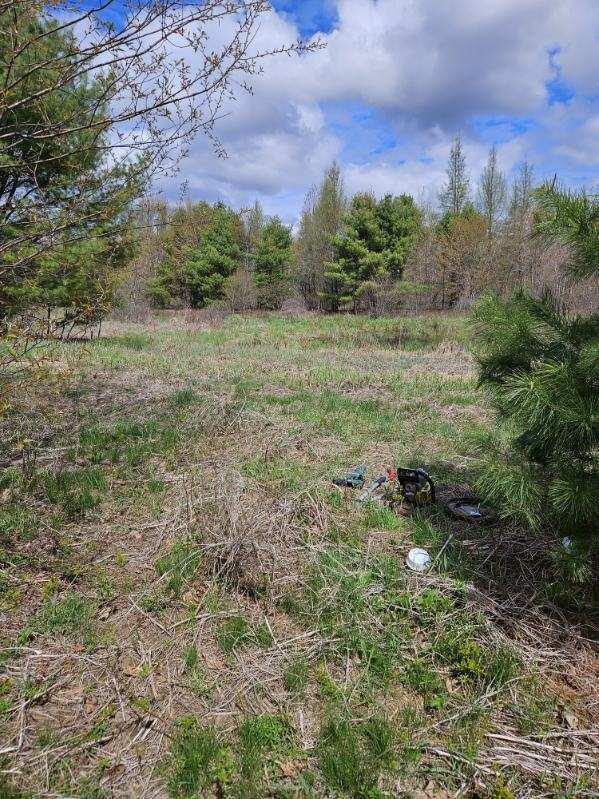 Lot 5 Emery Farm Road Medford, ME 04463 - Photo 3 of 10 image000003