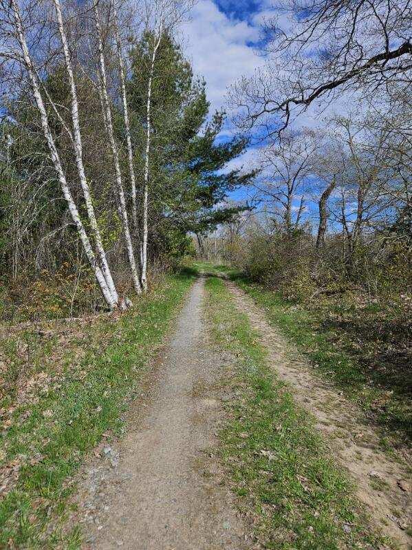 Lot 5 Emery Farm Road Medford, ME 04463 - Photo 5 of 10 image000005