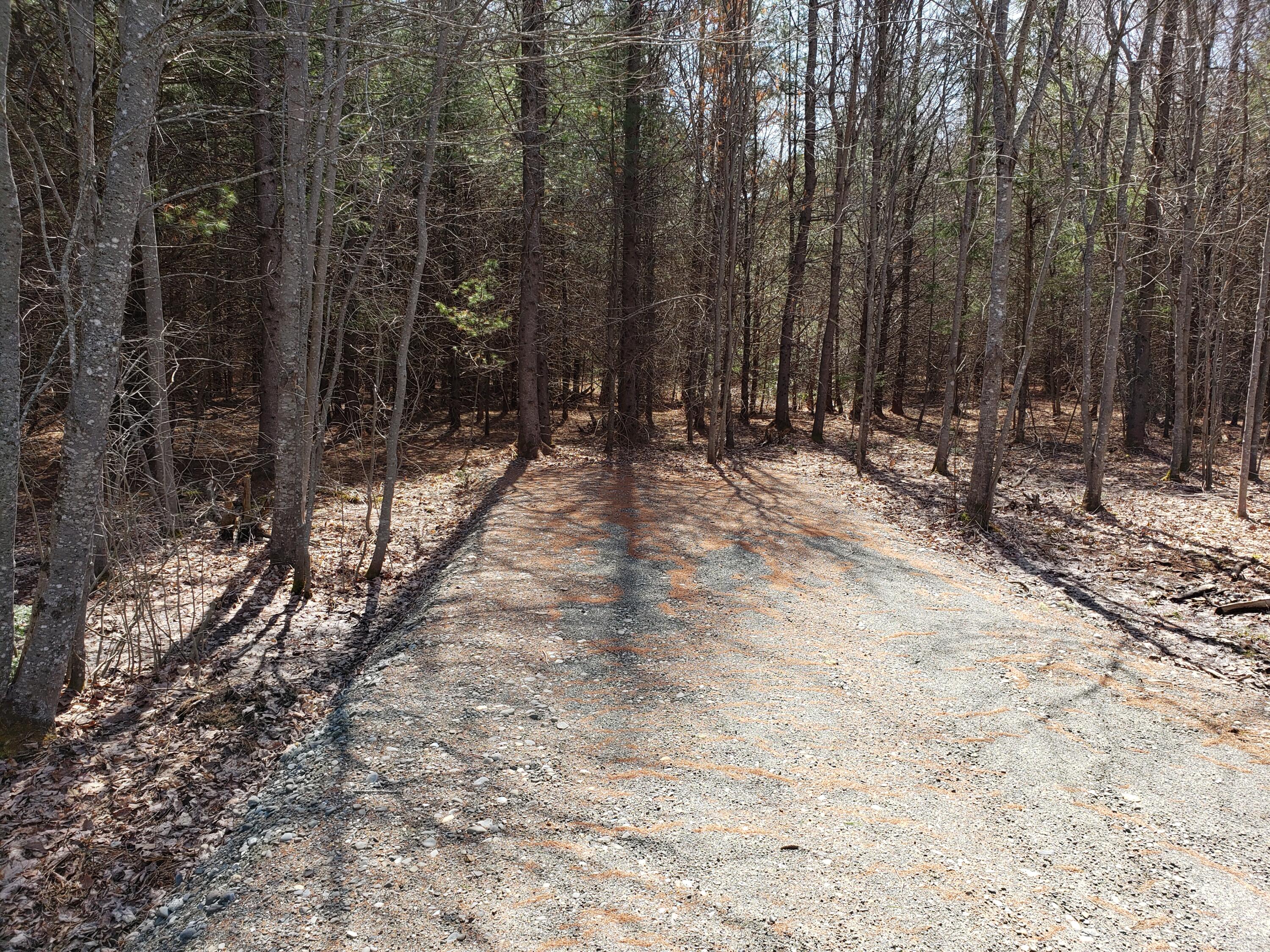 Lot 5 Emery Farm Road Medford, ME 04463 - Photo 6 of 10 20220423_111739