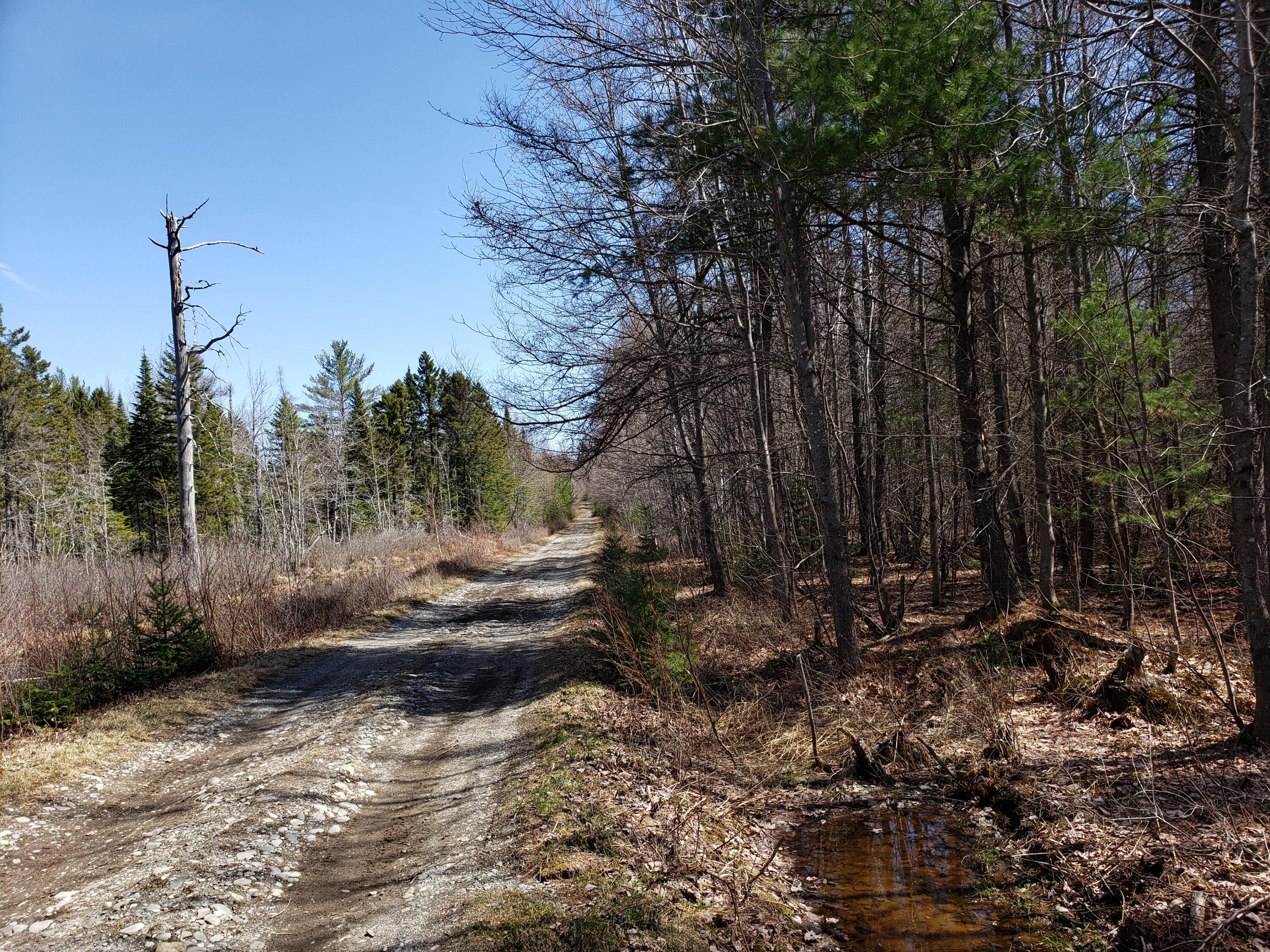 Lot 5 Emery Farm Road Medford, ME 04463 - Photo 8 of 10 20220423_111747