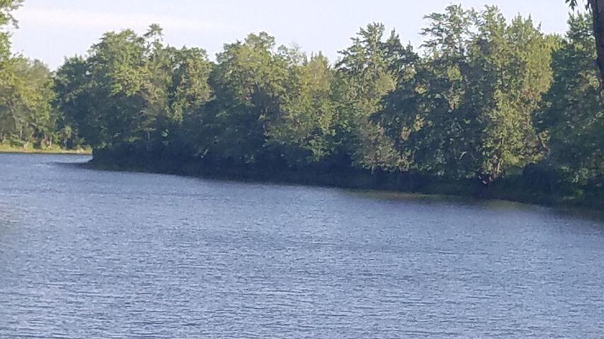 Lot 5 Emery Farm Road Medford, ME 04463 - Photo 9 of 10 20210706192706479344000000-o