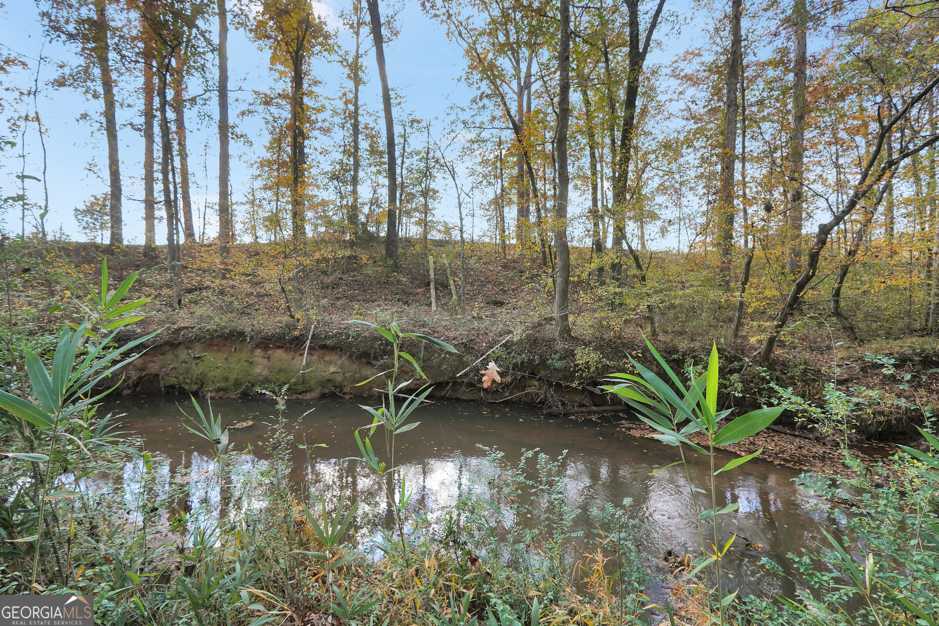 196 Magnolia Trace Milner, GA 30257 - Photo 48 of 48 a backyard of a house with a yard and outdoor seating