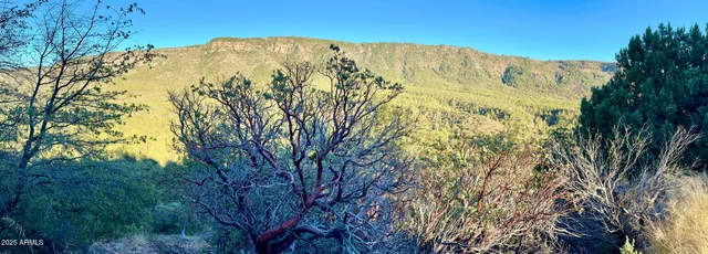 a view of a large mountain with lots of trees