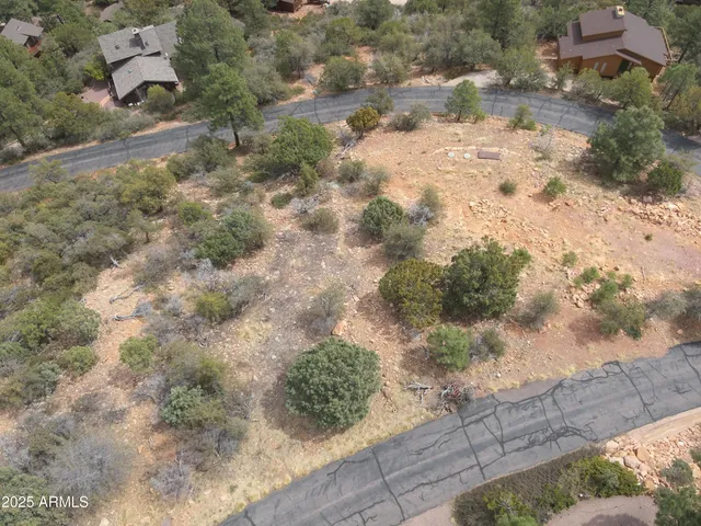 a view of a dry yard with a tree